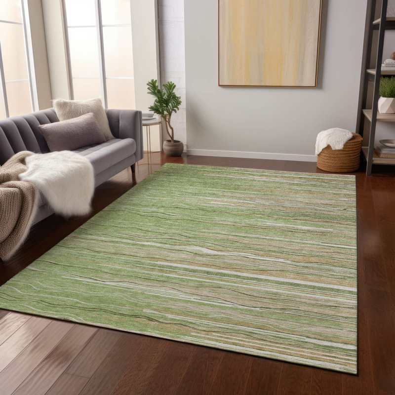 Tapis vert lavable intérieur / extérieur Ayra , 3 pi x 5 pi