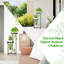 Plant Stand