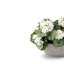 Felice Snowball Hydrangea Arrangement