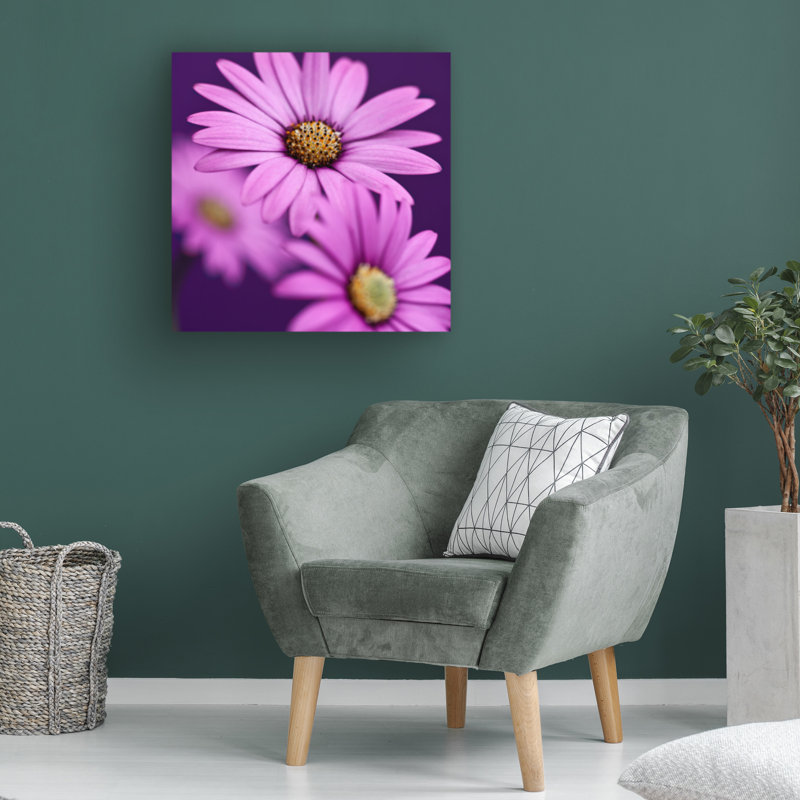 Art sur toile «Plum Daises III», H 24 po x l 24 po x P 2 po