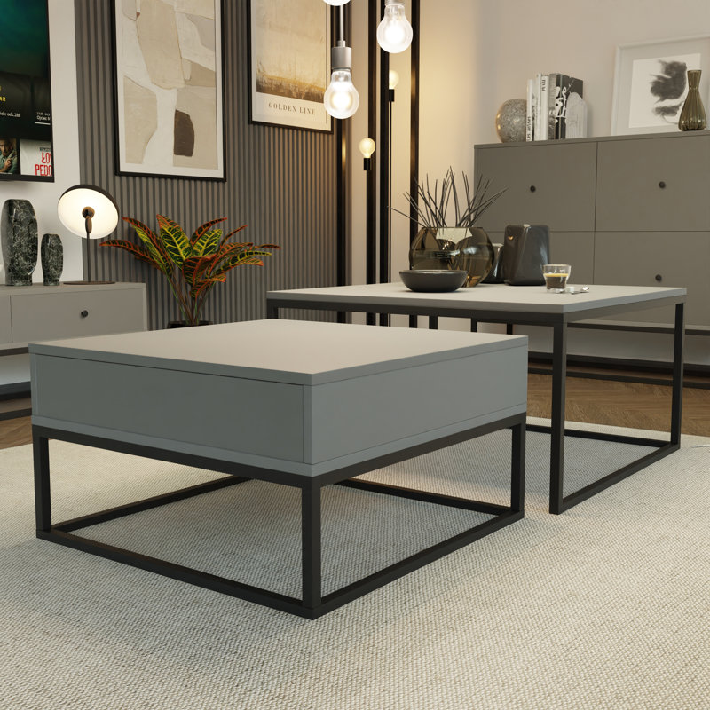 Taray Coffee Table with Storage, Grey