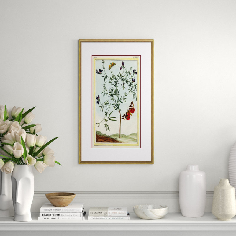 Botanical Giclee Print by Soicher Marin Archives