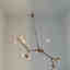 Photos des clients 1 de 1
