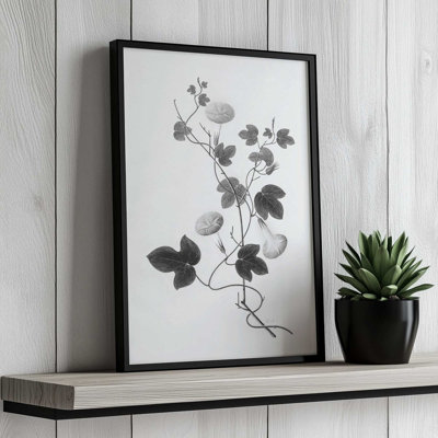 Botanical VI By Deborah Revell Art Print