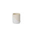 Taha Ceramic Pot Planter