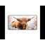 Polyester Desk Pad-2092148513