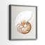 Nautilus - reproduction encadrée de qualité supérieure - prête à être accrochée - aucun clou requis - aucun clou requis-1067668000-1067668007