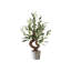 20" Artificial Olive Bonsai Tree With Realistic Leaves In Planter, Faux Evergreen Plant In Decorative Pot-305616065