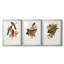 ElegantTrogonsIX - Impression sur mesure encadrée de qualité supérieure - 3 pièces-19518904-19518905