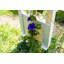 Samoset 100cm W x 43cm D Arbour in Grey-15783832