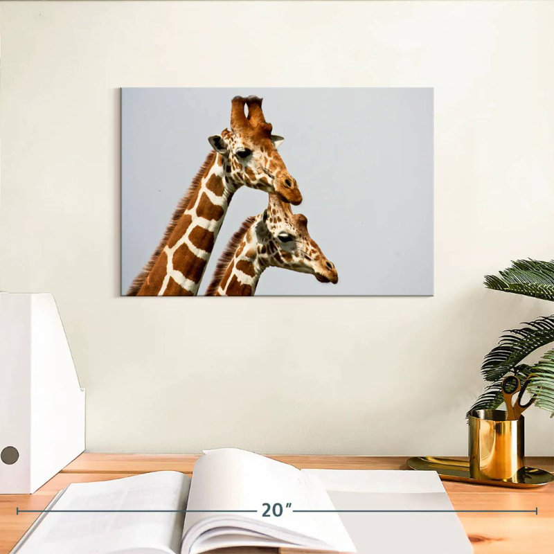 Brampt, girafes de Somali, H 8 po x l 12 po