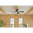 Lucian 60'' Ceiling Fan with LED Lights-715556766