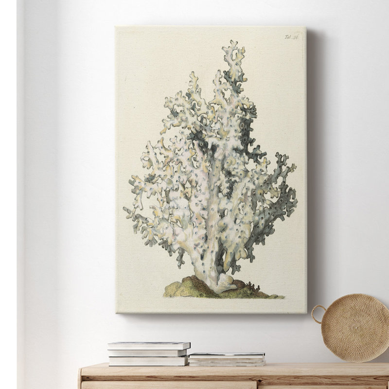 Antique Coral I - impression sur toile tendue, L 12 po x H 18 po