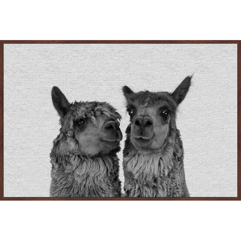 «Llama Couple», reproduction sur toile encadrée, 16 po x 24 po