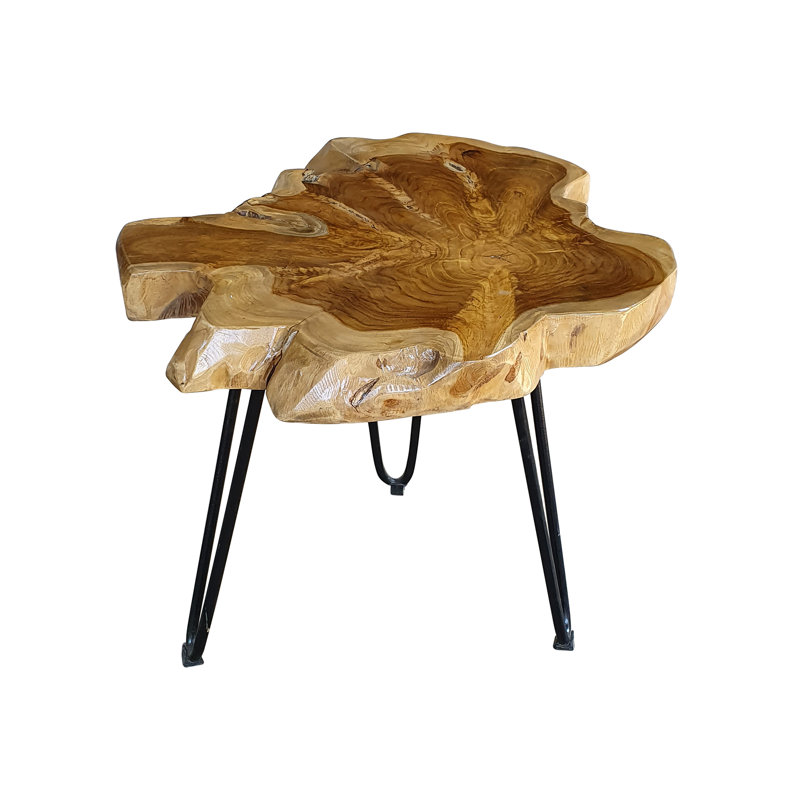 Marjo Tree Stump End Table