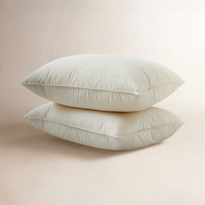 Plush Down Blend Pillow