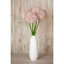 Arrangement-128130313-128130318