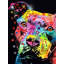 Art sur toile tendu de la collection Orren Ellis Dean Russo, titre: Thoughtful Pit DEARUS185381-1350786705