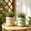 Pot de fleurs en céramique d'intérieur, pot de fleurs avec trou de drainage, pot de fleurs en forme de petite bulle, pots de fleurs uniques et mignons pour la maison et le bureau-1273990733