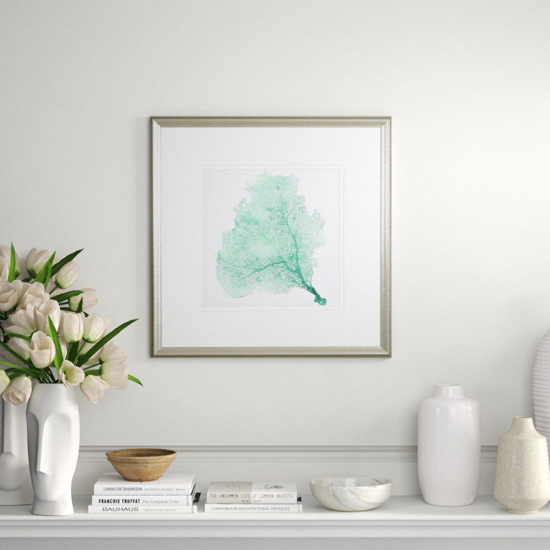 Sea Fan VII Print by Vision