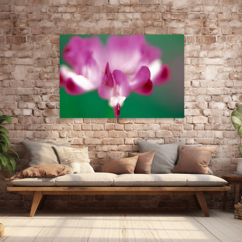 Close-up Photograph Of Pink Flower by Collezione Panoramica - Wrapped Canvas Print, 40" H x 60" W