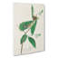 Warbler Bird by John Audubon - Wrapped Canvas Painting-55370200