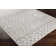 Kamoni Southwestern Indoor Rug