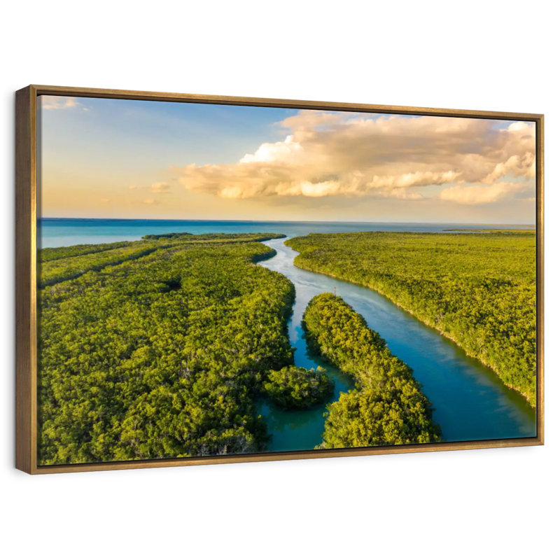 Parc national des Everglades, Cadre flottant doré, 37 po x 25 po