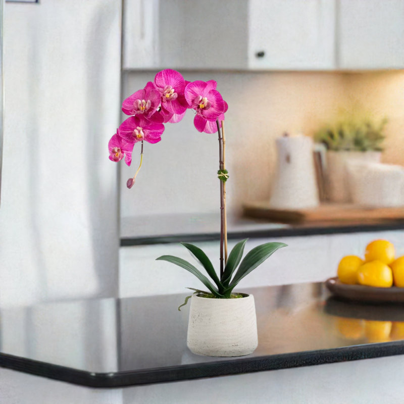 Artificial Orchid Plant, Pink