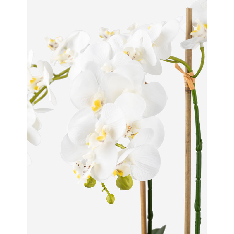 Ciara Realtouch Orchid Planter