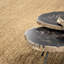 Soleste Area Rug in Natural