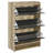 Kyla 3-Tier Engineered Wood Shoe Cabinet-849315428
