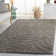 Minnich South Beach Shag Hand Tufted Performance Abstract Rug