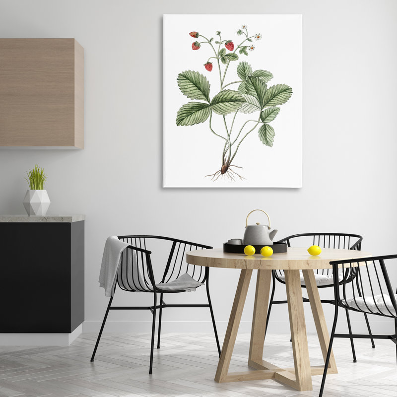 "Budding Strawberries Study", art mural par lettrage et doublure, H 48 po x l 36 po