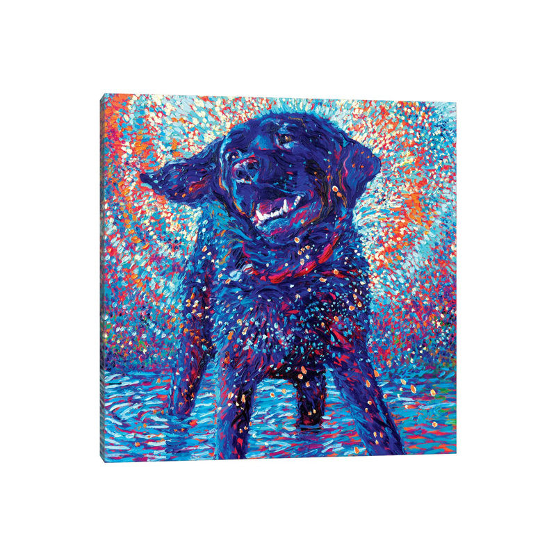 Canines & Colour by Iris Scott - Wrapped Canvas Print, 93.98 cm H x 93.98 cm W x 3.175 cm D