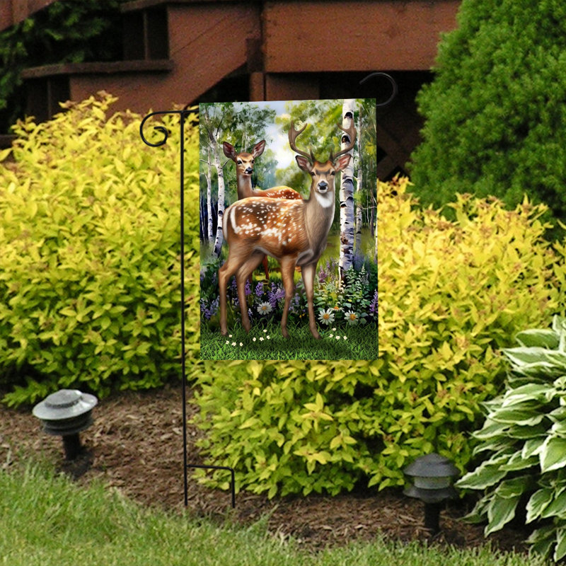 Cerf dans le drapeau du jardin de la forêt