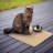 Anti-Skid Placemat