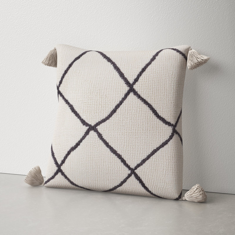 Saveria Tassels Throw Pillow, Pillow Cover, 20" x 20"