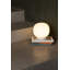 Amelia Table Lamp-1880758822