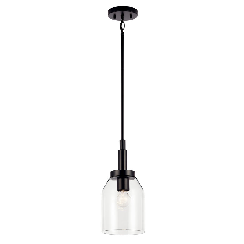 Valmeyer 1-Light Black Modern Pendant with Clear Glass Shade, Black