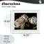 «Fading Beauty White Roses», reproduction encadrée sous verre, conception de Mary Sparrow-1130863710-1130863706