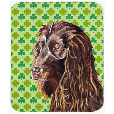 Caroline's Treasures Boykin Spaniel St Patrick's Irish Glass Cutting Board