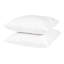 Insert de coussin Wayfair Basics® Didomenico-689272257