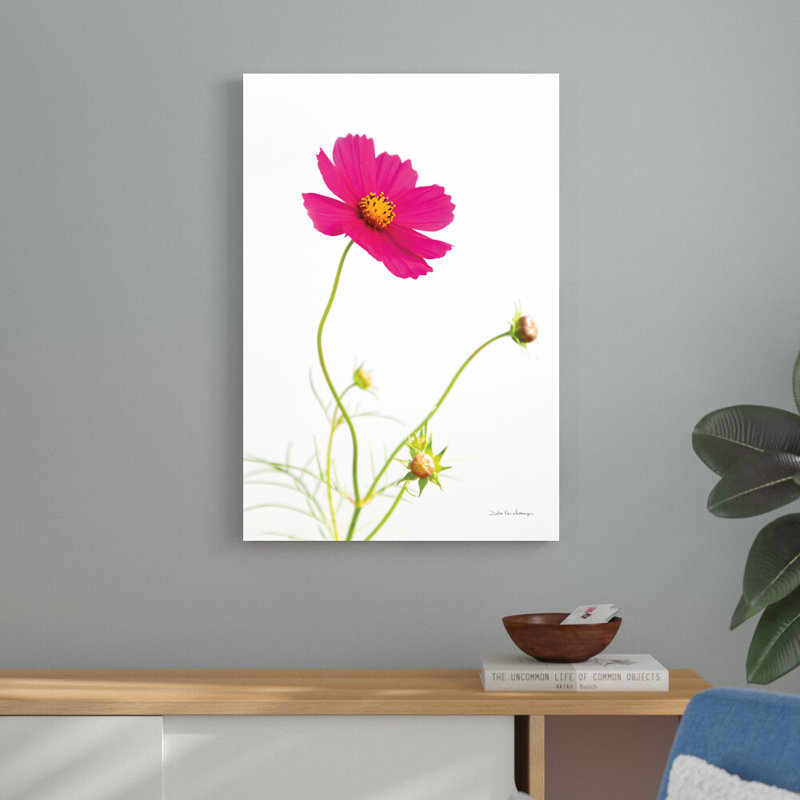 Magenta cosmos I - impression, H 36 po x l 24 po