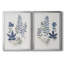Fern Study I - Toile encadrée de qualité supérieure - prête à être accrochée-799020135-799020443
