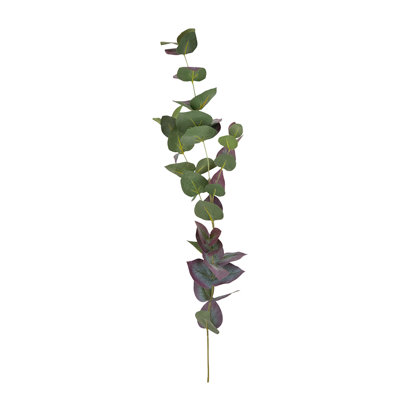 Eucalyptus - ensemble de 12 - vert
