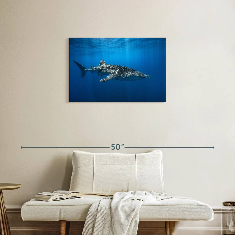Brampt Whale Shark In The Blue, 20" H x 30" W