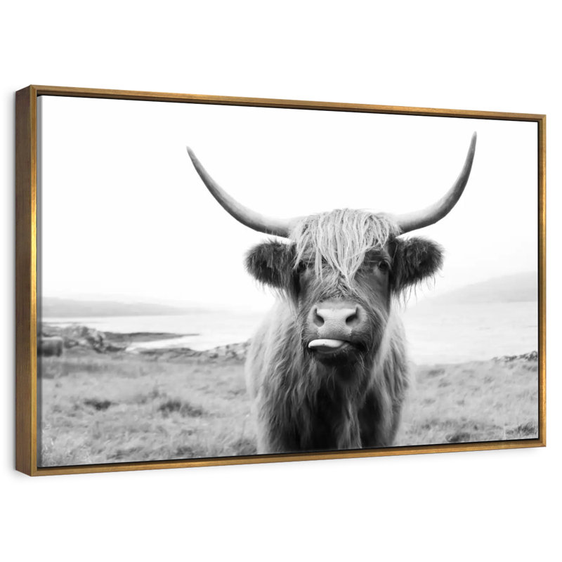 Drôle de vache Highland, Cadre flottant doré, 13 po x 9 po