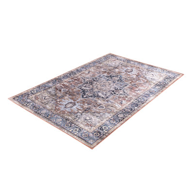 Portales Oriental Indoor Rug