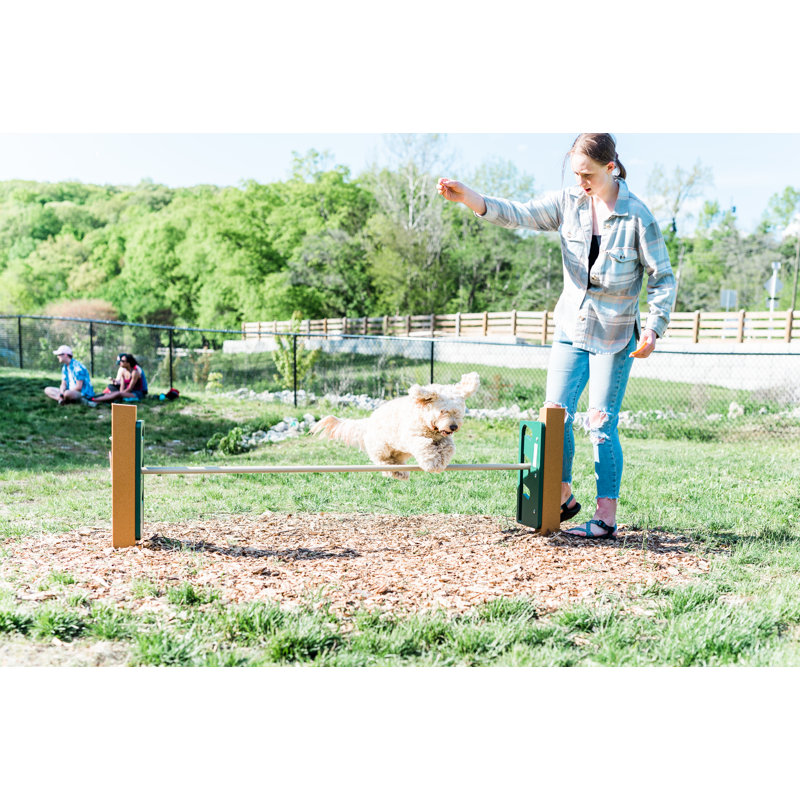 Bark Park Recycled Dog Jump